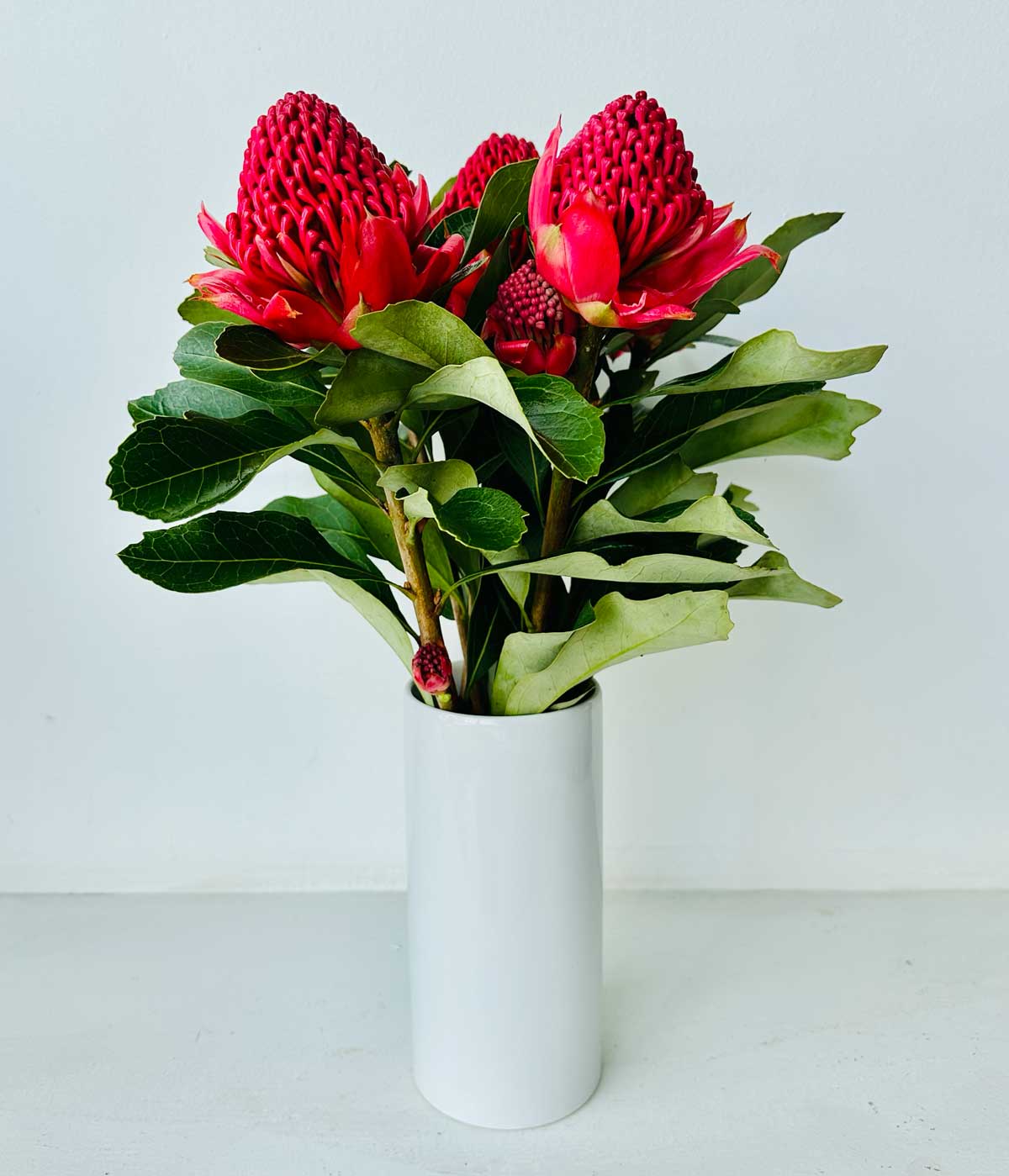 Waratah Bouquet