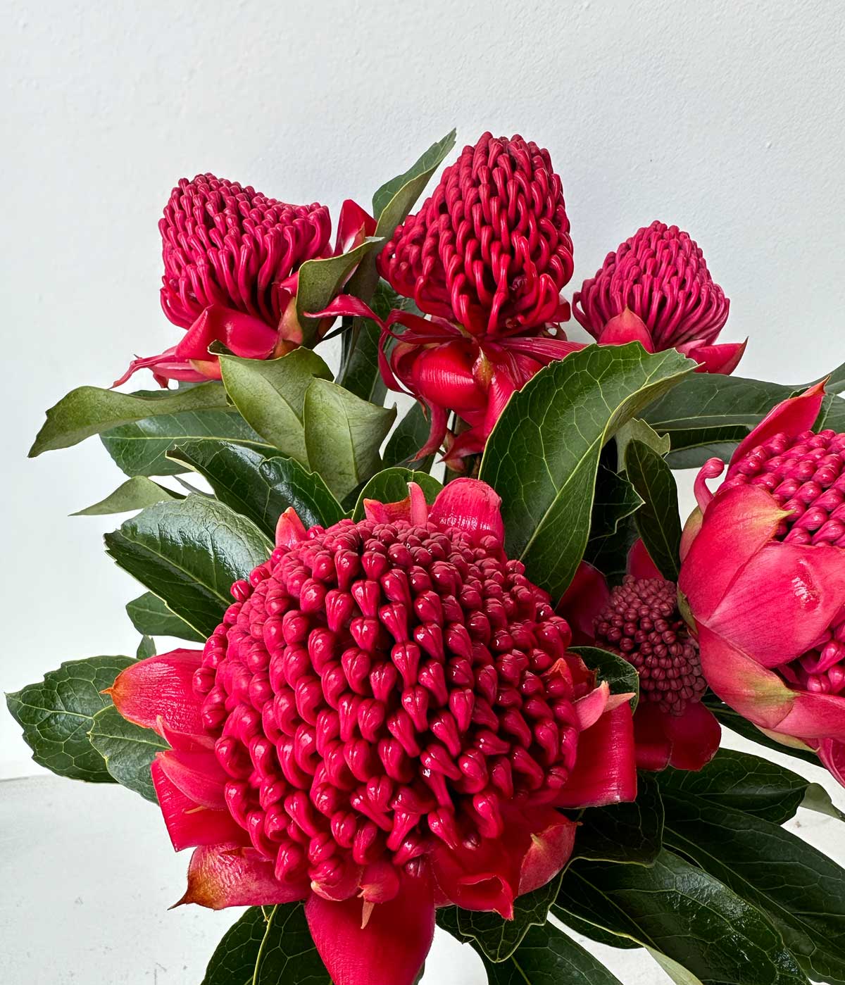 Waratah Bouquet